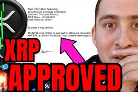 IF You HOLD XRP I GOT NEWS! (urgent 3 point cut)