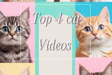 Top 4 Cat Videos You Need to See!