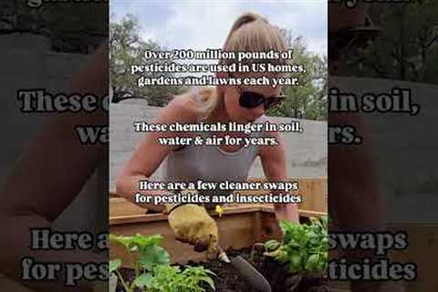 Ditch the Toxins: Safe, Effective Alternatives to Pesticides &amp; Herbicides for a Thriving Garden ..