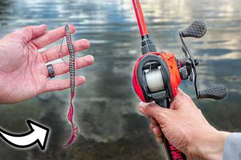 Learn To Fish A Plastic Worm In 2025! (Success Guaranteed)