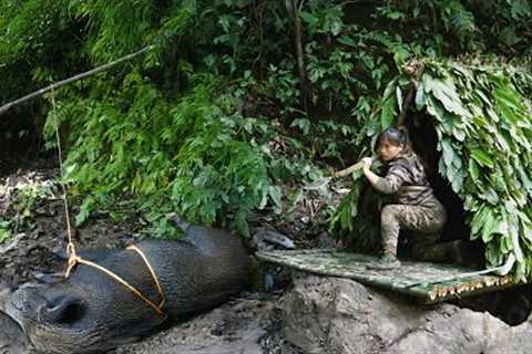 Wild boar trapping skills, building new shelters, survival alone