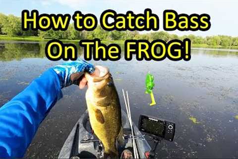 Learn How to Fish a Frog Lure for Bass (Frog Fishing Tips for Beginners)