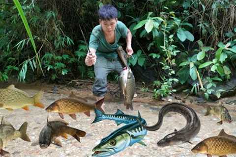 Effective primitive fishing skills, large schools of fish, fishing in the rainy season, survival