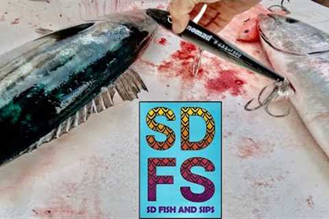 Chasing FOAMERS &amp; TROLLING Nomad MADMACS Deep Sea BLUEFIN TUNA FIshing Offshore SAN DIEGO