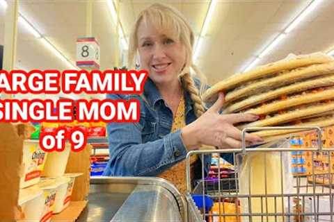 Shop with Me at America's Cheapest Grocery Store March 2025