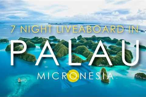 Palau, Micronesia 🇵🇼 - 7-Night Scuba Diving Liveaboard | Is it WORTH IT? What to Expect