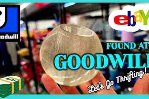 GOODWILL was a GOLDMINE / SCARED ME when she DROPPED IT! / THRIFT with ME / TOP 5 BEST SELLING Items