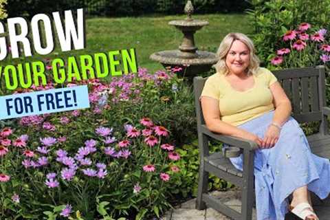 12 Flowers That Multiply Themselves! | Perennials that Self Seed to Grow Your Garden Easy &amp;..