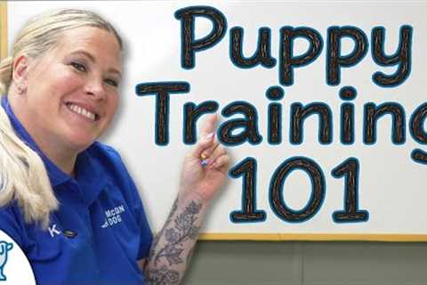 Your Ultimate Step-By-Step Puppy Training Schedule (By Age)