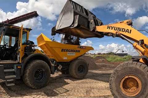 Moving Dirt with the Bergmann C815 | Beautifying the Land &amp; Building the Fish House!