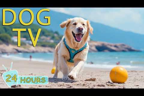 DOG TV: Anti-Anxiety Videos for Dogs to Watch When Home Alone - Best Happy Music for Dogs