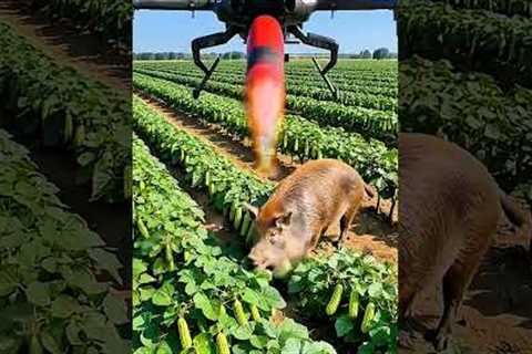 Drone to kill harmful pigs in the field. #farming #agriculturetechnology #agriculture