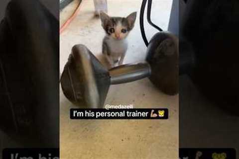 I Tried To Train Coco 😭