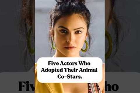 5 actors who adopted their animal co-stars#us#usa #famous#fyp#hollywood#actor#celebrity#celebrities