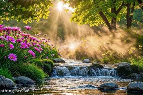 Music heals the soul🌿Reduce stress, stop overthinking, relaxing sounds