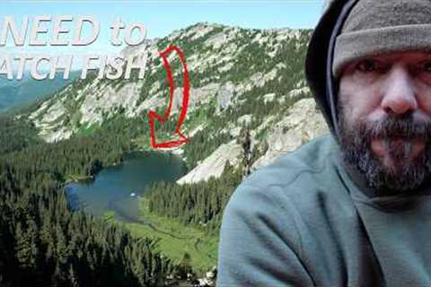 3 Days of Wilderness Survival with my Dog