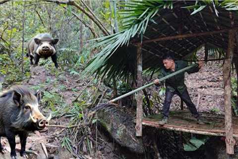 Build shelter, safe, detect ferocious wild boar herd | survival skills