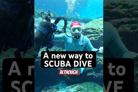 Breakdown video of the Avelo Dive System 🤿✅ #scubadiving #divegear #innovation