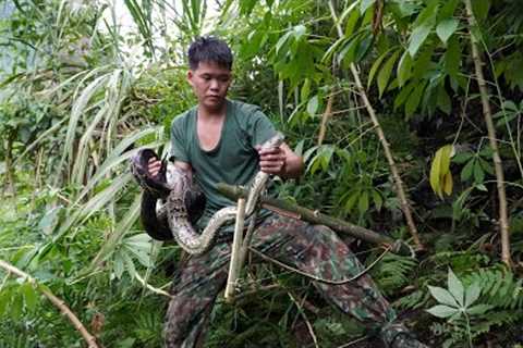 Survival in the wild, making bamboo traps, trapping furry animals, facing dangerous giant pythons