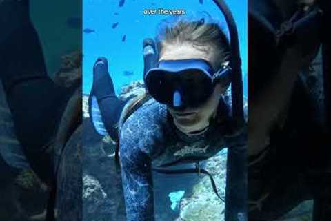 Is scuba diving better than snorkeling?