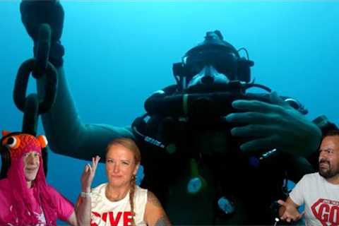 Divers React to challenging rebreather dive with super rare Oarfish
