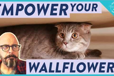 Help Your Shy and Scared Cat Gain Confidence!
