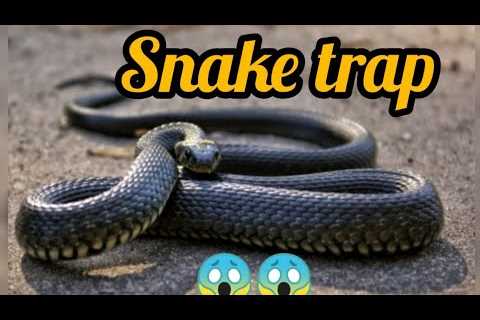Build Underground Snake Trap Using Tires Car &amp; PVC Pipe / JOHNCY MEDIA is live #live​..