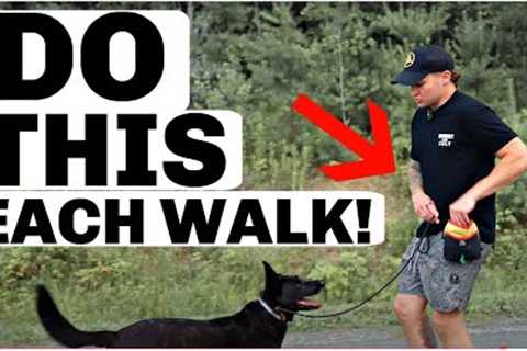 Do These 5 Dog Training Exercises Before Each Walk