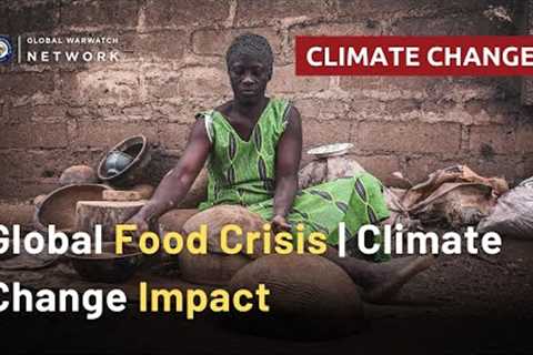 Are You Making These 3 Climate Food Crisis Mistakes?