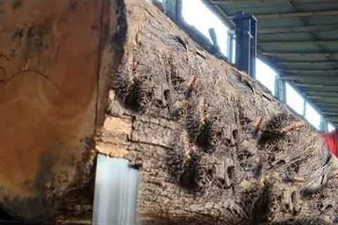 Strange discovery while sawing old teak wood, see what this man found!