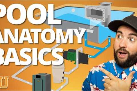 POOL ANATOMY and PLUMBING For Beginners (Step-By-Step Walkthrough)