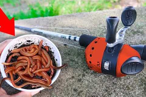 Fishing with Livebait Worms for Whatever Bites! (4 Species)