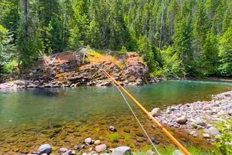 The most INCREDIBLE small stream on the planet (fly fishing for trout)