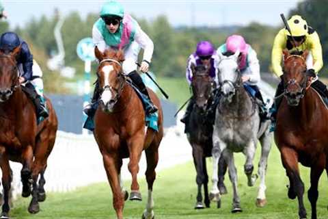 150/1 QIRAT produces biggest shock in British Flat racing history with Sussex Stakes triumph