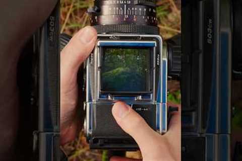 Magically transform a film camera into a digital one