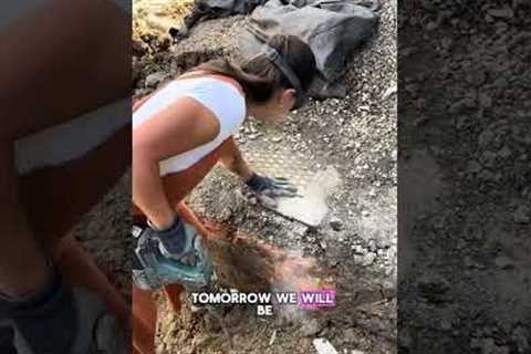 Renovation vlog 17 - fitting the new water pipe #auction #renovation #property #propertyladder