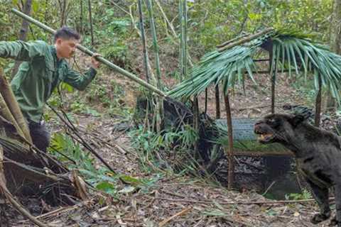FULL VIDEO:90 Days Building Shelter , Wild Chicken Hunting, Fishing, Survival Alone, Survival Skills