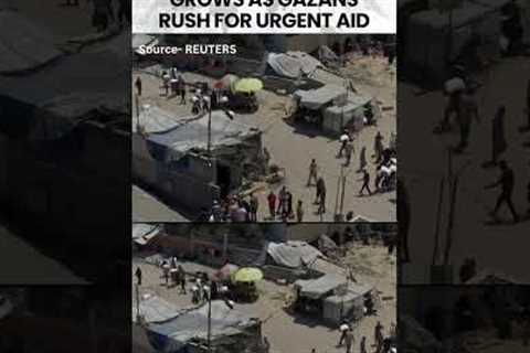 #gaza | Humanitarian Agencies Warn of Starvation Crisis as Gazans Seek Help #gazagenocide #shorts