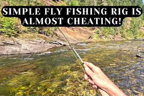 Trout have no chance - This fly fishing rig makes catching trout TOO EASY!