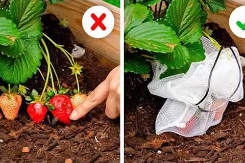 Gardening Tips for a Lush and Healthy Garden