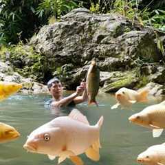 Survival in the wild, Building a kitchen, hunting fish in the wild, giant stream fish, survival life