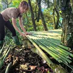 Survival Solo Shelter in the Jungle | Catching River Crabs & Building a Bamboo Hut