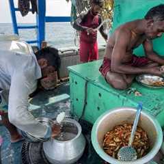 Ohh! We Traveled For Long Days In The Deep Sea and Caught Tuna Fishes | Day01 TO 08 | S05 | Part-1