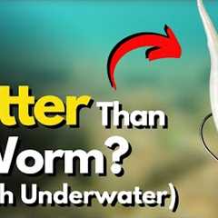 5 Shaky Head Lure ALTERNATIVES That Excel (Watch Underwater)