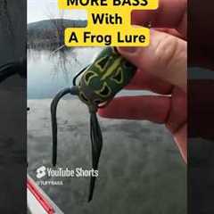 How To Catch MORE FISH With A Topwater Frog Lure!