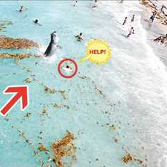 THIS Is Why You DON'T Swim Next To A Fishing Pier!