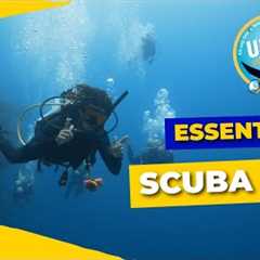 ESSENTIAL SCUBA DIVING GEAR - UTILA DIVE CENTER