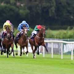 MONTREAL mauls rivals in Leopardstown romp