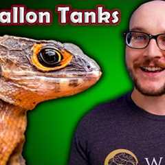 Top 5 Reptiles That Can Live in a 20 Gallon Enclosure FOREVER! | | Pt II