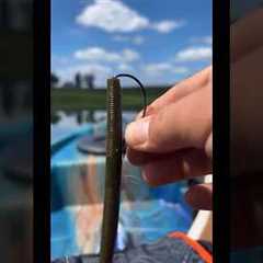 Bass Fishing - How to Texas Rig a plastic worm. #bigbassenergy #catchinbass #fishing #bassfishing